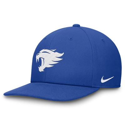 Kentucky Nike Dri-Fit Pro Structured Square Bill Cap