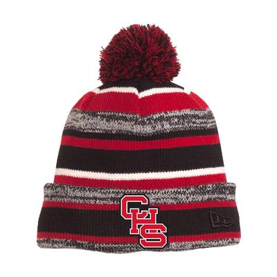 Central High School New Era Striped Beanie