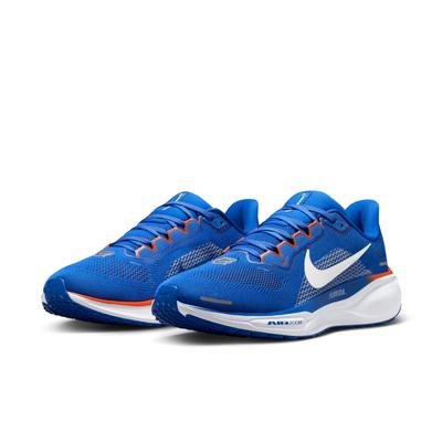 Florida Nike Zoom Pegasus 41 Shoes