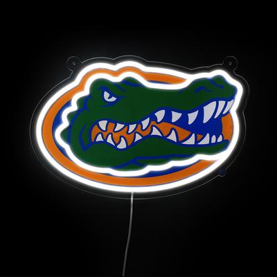 Florida Saturday Neon LED Neon Sign