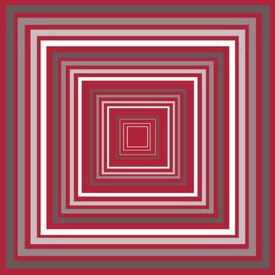 Alma Mater Collection Abstract Print Scarf